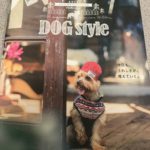 【カインズホーム】最後にお犬グッズの冊子を貰ってきたから一緒にみませう